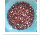 Röda quinoa-frön på ett turkosfärgat fat.