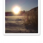 Bländande vintersol som lyser över Jämtländsk vit skare och blå himmel.