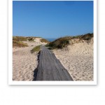 Sand, dynor, en promenadspång, blå himmel och hav.