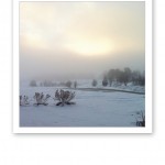 Vintervitt sken, när solens strålar envist försöker tränga igenom molnen.